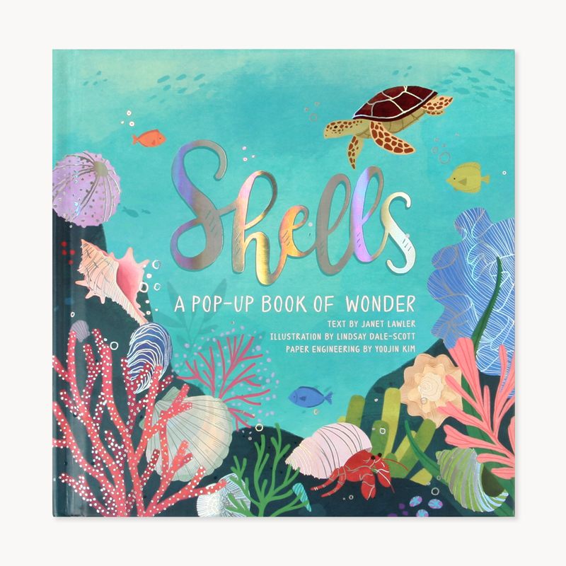 SHELLS: A POP-UP BOOK OF WONDER