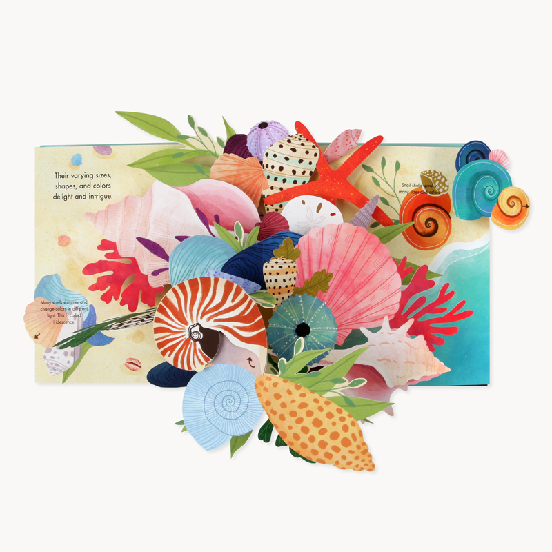 SHELLS: A POP-UP BOOK OF WONDER - UWP Luxe