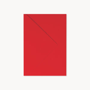 AL055PrayingMantisENVELOPE