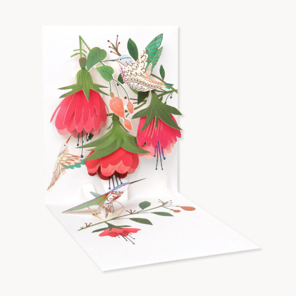 AL057HummingbirdBirthdayB2C