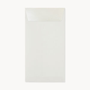 AL071ChampagneToastENVELOPE