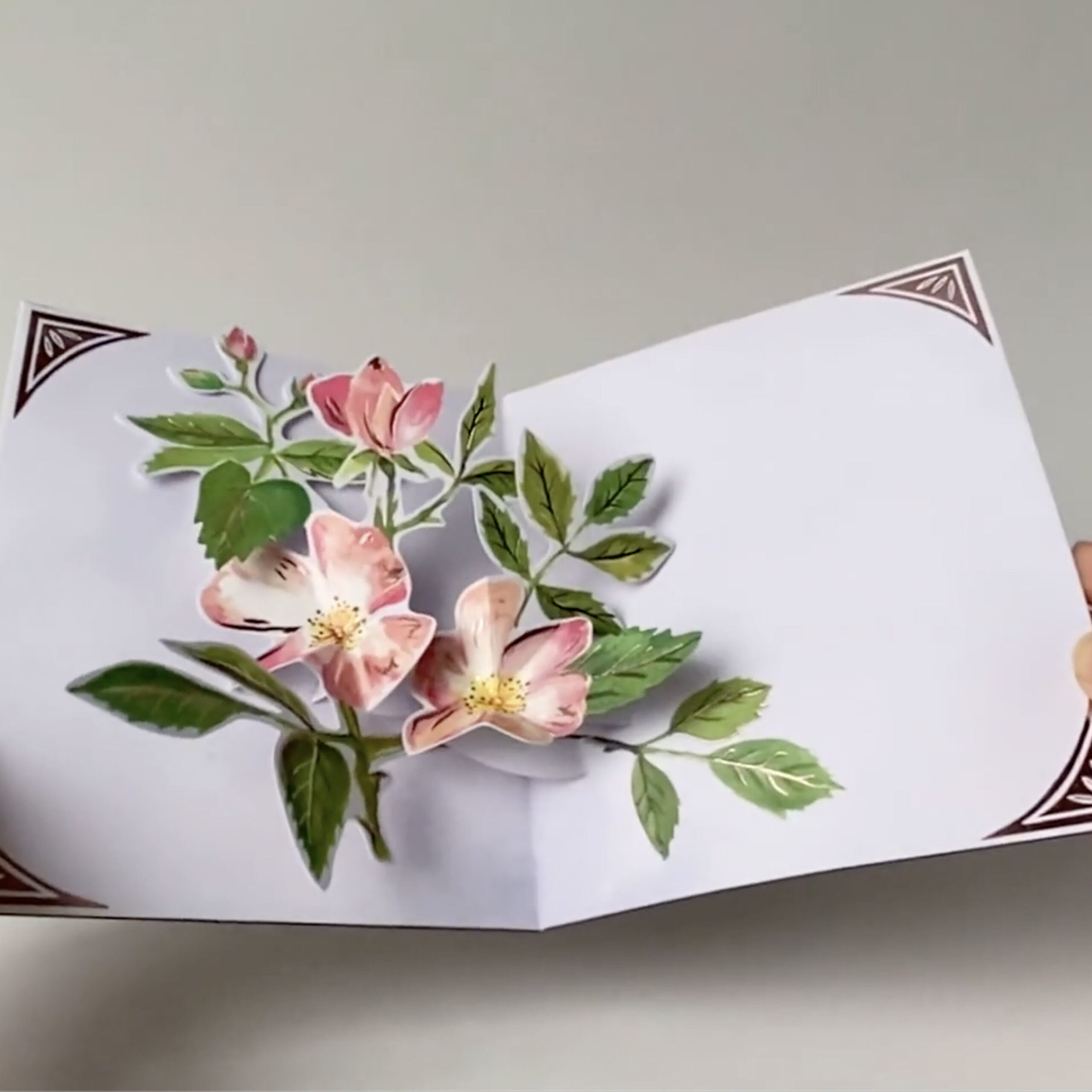 AL074-Seed-Packet-scaled