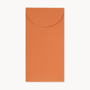 AL080DesertViewENVELOPE