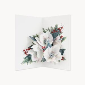 CHRISTMAS ROSE 3-PACK