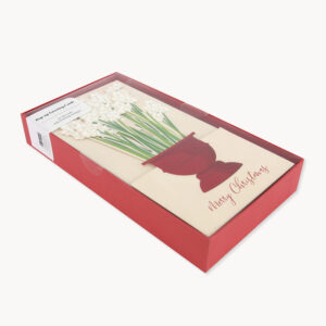 PAPERWHITES BOXED SET