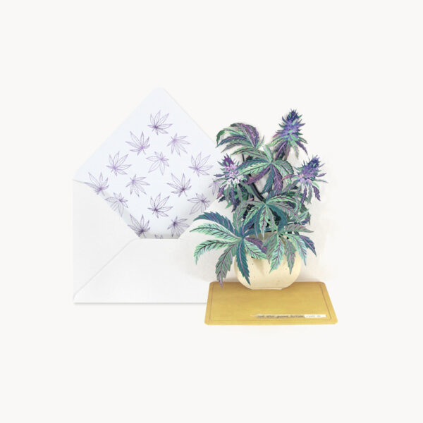 DAL042-Herb-Bouquet-B2C