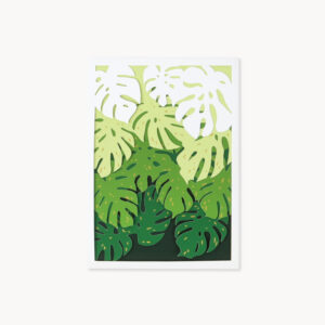 MONSTERA