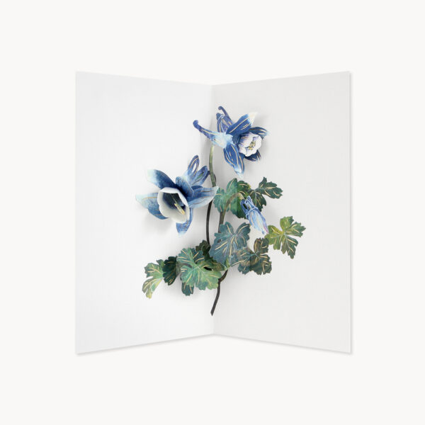 LAC103-Columbine-Flower-B2C